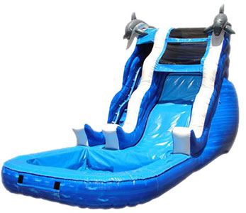 dolphin waterslide